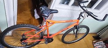 bicycle: Dağ velosipedi – WARP Mountain - Güclü polad çərçivə, parlaq narıncı — 1