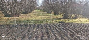 mx group inşaat: 18 sot, Tikinti, Makler, Bələdiyyə — 1