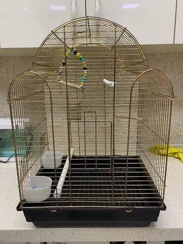 Xaltalar, qayışlar və tasmalar: Quş qəfəsi – klassik qızılı karkas, qara çıxarılan altlıqla Ölçülər — 1