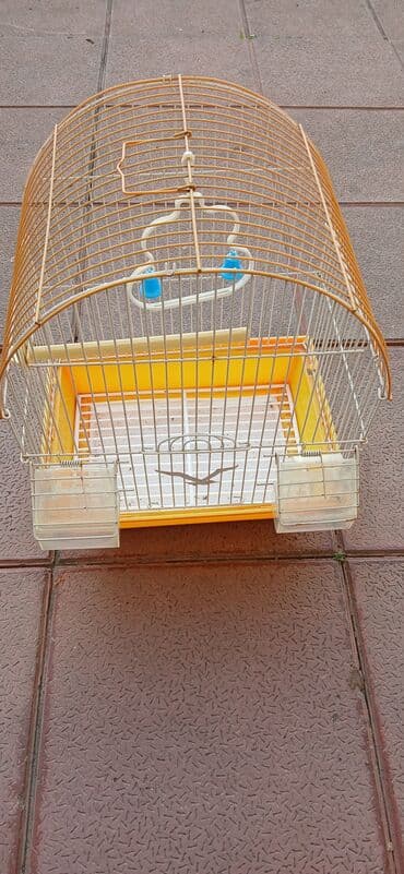 cücə qəfəsi: Quş qəfəsi – yarımdairəvi üst hissəli, metal barmaqlıqlı model — 4