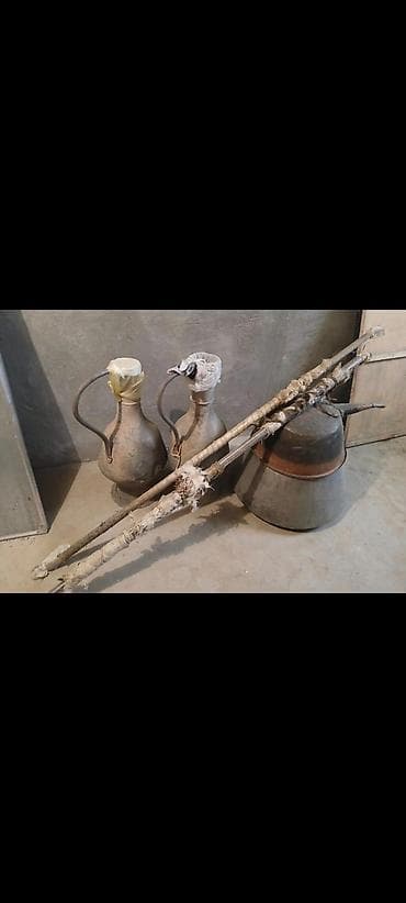 lazer satilir: Tava, Mis — 1