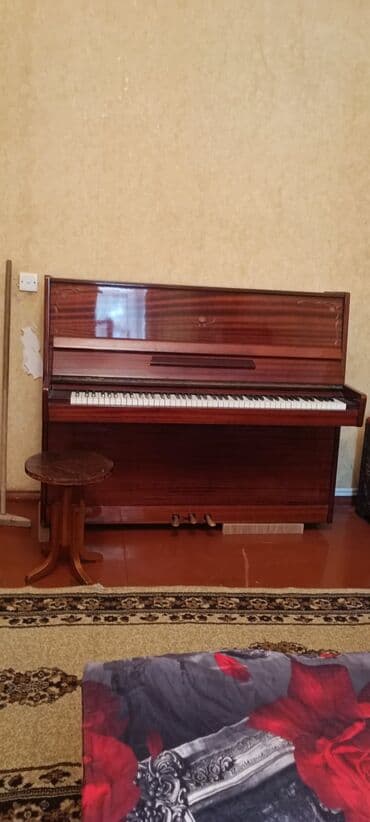 royal cat jakne: Piano, Belarus, Akustik, İşlənmiş, Ünvandan götürmə — 1