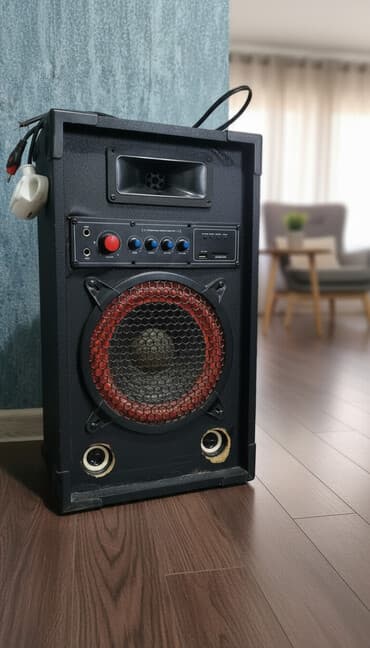 Qoruyucu plyonka və şüşələr: Portativ akustik sistem – inteqrə olunmuş gücləndirici və çoxsaylı — 1