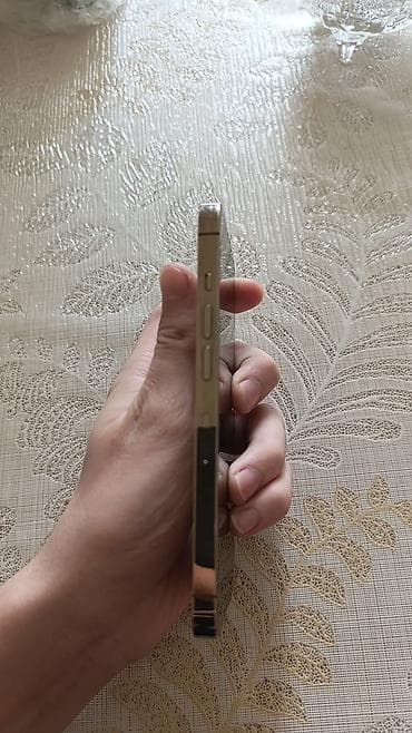 iphone 13 pro mac: IPhone 13 Pro, 128 GB, Matte Gold, Simsiz şarj, Face ID — 4