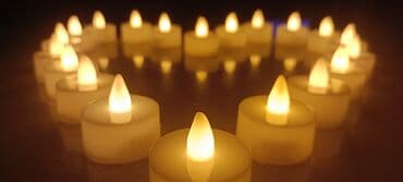 soya mumu satışı: Şam Slindrik — 1