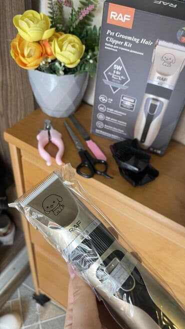 электрическая машинка для стрижки овец: İt üçün maşınka seti hərşey daxildir . 5ədəd var əldə — 2