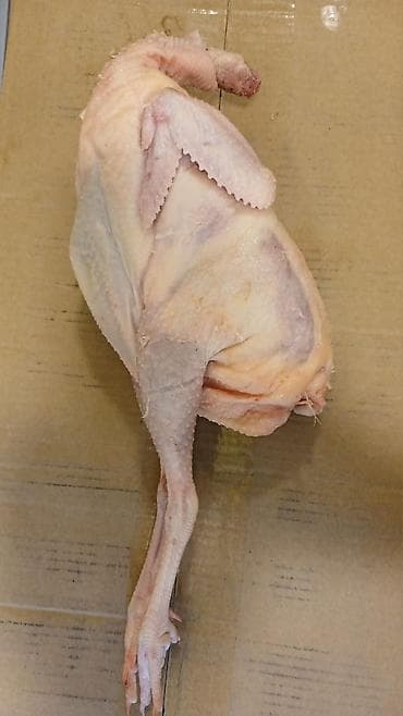 lal ordeki: Kənd toyugu 1 kilo 1 kilo 300 Gec bişən toyuqdur Ismayilli toyugudur — 1