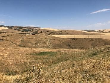 44 sot, Biznes üçün, Mülkiyyətçi, Kupça (Çıxarış)