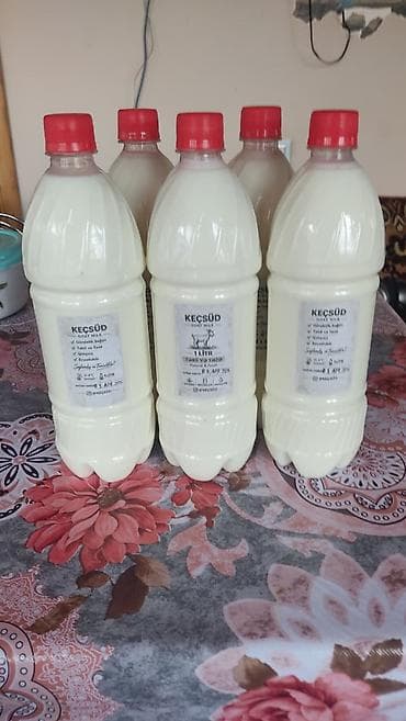 yumurta hinduska: Hövsan Türkan ərazisinə pulsuz çatdırılma digər ərazilər isə — 3