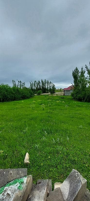 20 sot, Tikinti, Mülkiyyətçi, Kupça (Çıxarış)