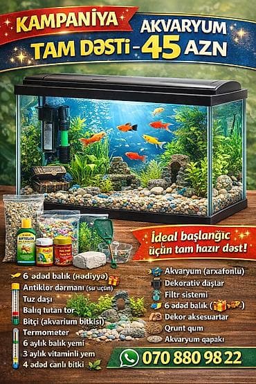 haski bala: Akvaryum üçün “Tam Başlanğıc Dəsti” – evdə balıq saxlamağa başlamaq — 1