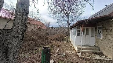 saatlı rayonu: 21 sot, Biznes üçün, Kupça (Çıxarış) — 4