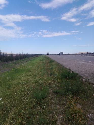 340 sot Biznes üçün, İşıq