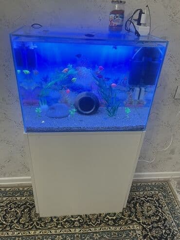 Gəmiricilər: Akvarium-şkaf, Balıqlarla birlikdə, 90 l, Ödənişli çatdırılma — 5