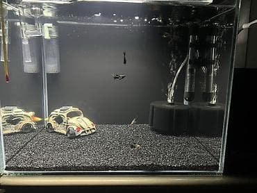 Dördbucaq akvarium, Balıqlarla birlikdə, 55 l, Ödənişli çatdırılma, Ünvandan götürmə