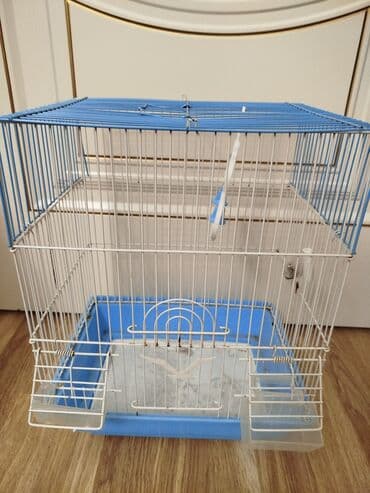 qəfəslər: Satılır çox az işlənib Mavi rəngli plastik altlığı və ağ metal toru — 5