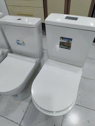 Moydadırlar: Bu ağ rəngli unitazlar keramikadan hazırlanıb və müasir interyerlərə