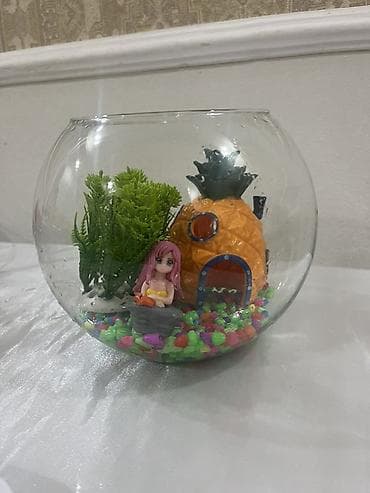 akvarium baliqi: Şüşə balıq akvariumu – dekorativ mini kompozisiya - Şəffaf, kürə — 2