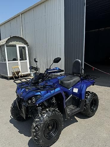 Квадроциклы: - Atv Kvadrosikl Kaxa 250, 200 см3, 2022 год, 4000 км — 3