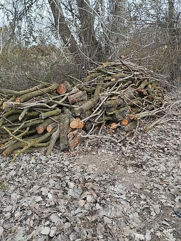 Самовары: Gilas şafdalı odunu 3 qazel — 3