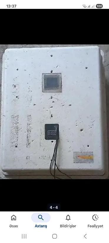 Bütün növ quşlaq üçün