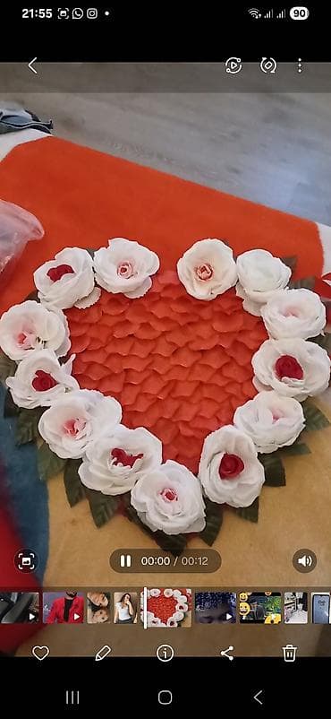 Texnikanın təmiri: Dekor məhsulları — 1