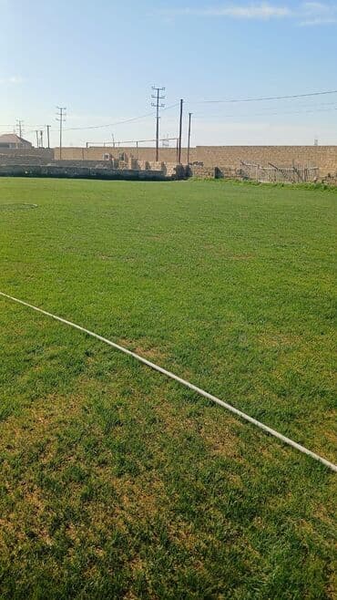 qubada torpaq satilir 2020: 16 sot, Kupça (Çıxarış) — 2