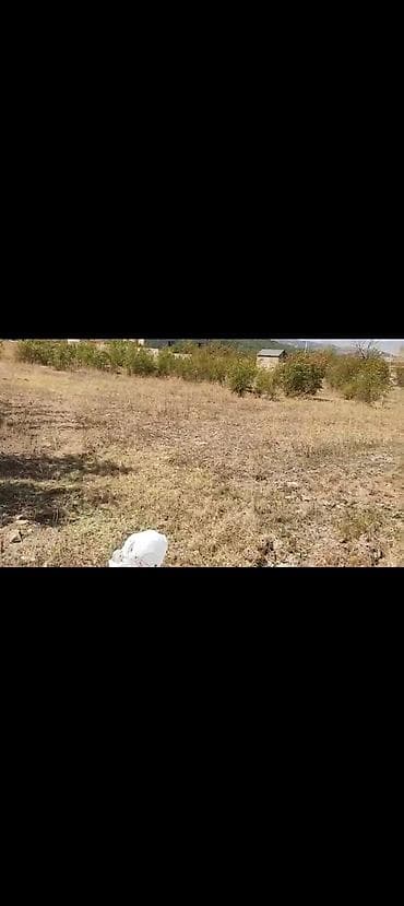 yeni emlak gence: 12 sot, Kupça (Çıxarış) — 3