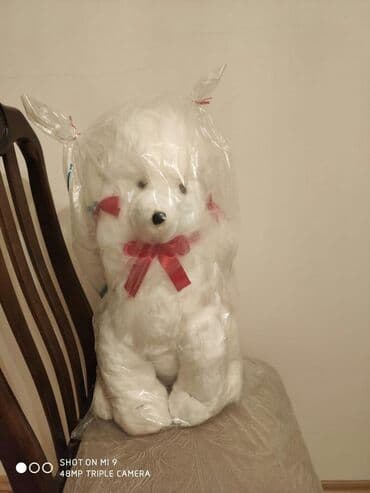 don formalari toy ucun: Satilir .Yeni — 2