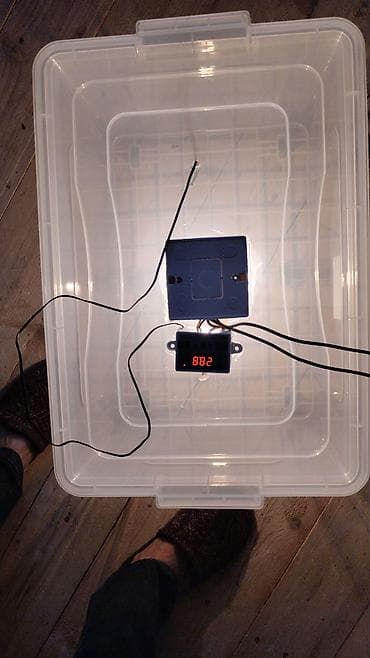 İnkubatorlar: Yumurta inkubatoru – termostatlı, rütubət ölçerli və ventilyatorlu — 2