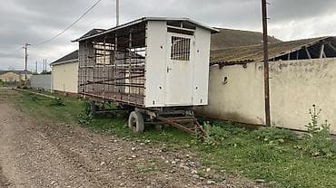 лапет: Sökülə bilən metal karkaslı, dam örtüklü qoşqu platforma - Tip: iki — 5