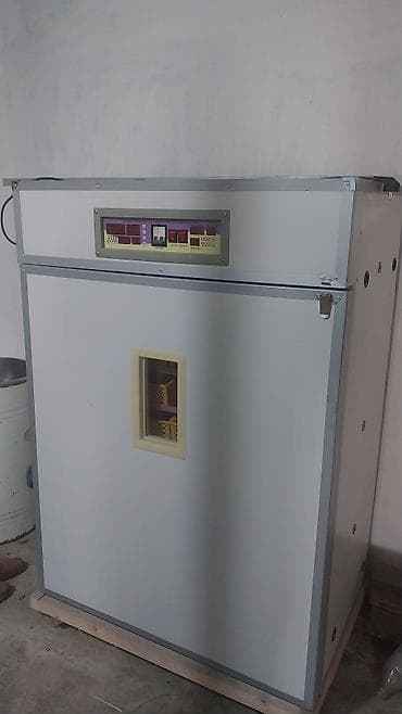 İnkubatorlar: 1100 yumurta, Tam avtomat — 3