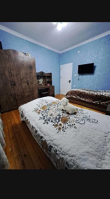 9 mkr satilan evler: Corat bağları, 33 nömrəli marşutun yolu yaxınlığında, Qardaşlar — 4