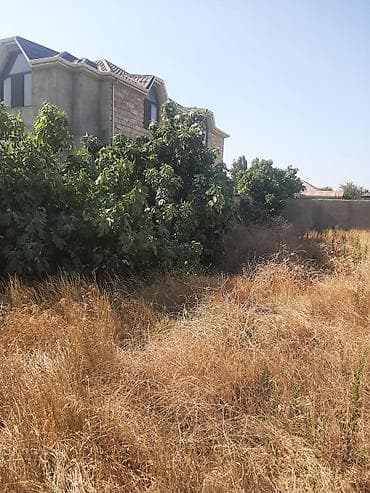 maştağa kiraye: 4 sot, Tikinti, Kupça (Çıxarış) — 9