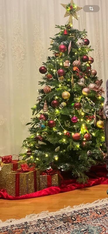 Yolka_150azn Hundurluk-1.80. 3 cür budaq növü üstünde- kremlevski lalafo.az -da Yolka_150azn Hundurluk-1.80. 3 cür budaq növü üstünde- kremlevski