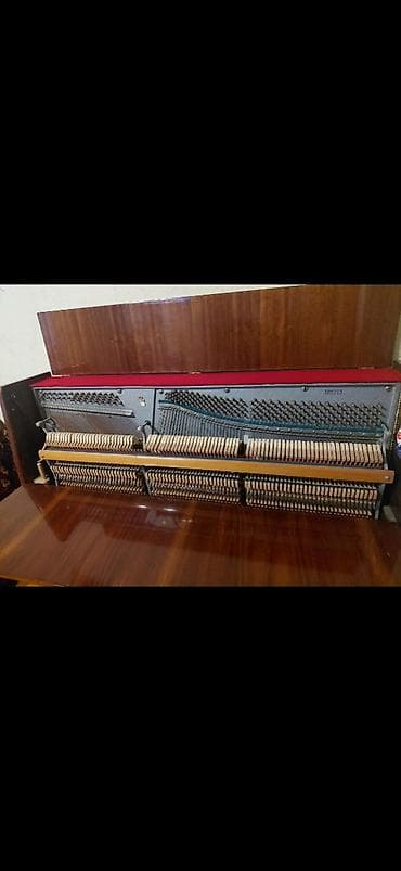 Zərb alətləri: Piano, Belarus, Akustik, İşlənmiş — 6