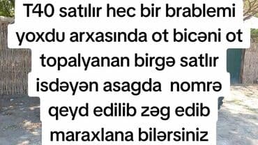 диски на авто бмв: Kənd təsərrüfatı işləri üçün nəzərdə tutulmuş narıncı rəngli traktor — 16