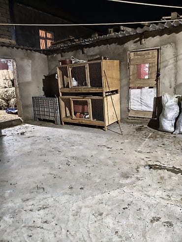 qəfəslər: İki mərtəbəli taxta qəfəs – quş və ya kiçik heyvan saxlanışı üçün - — 2