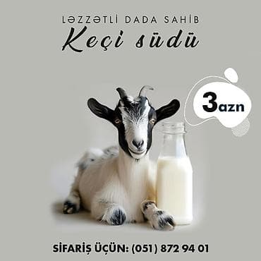 süd məhsulları: Keçi südü satlılır. Ünvandan götürmə. Ünvan Novxanı Qiymət: 1 litr 3 — 1