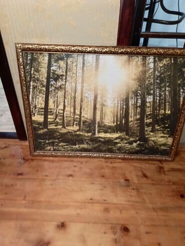 каталог обоев в баку: Dekorativ divar tablosu – Meşə mənzərəli - Mövzu: Günəş şüalarının — 2