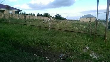 10 sot, Tikinti, Mülkiyyətçi, Bələdiyyə