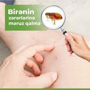 xalca yuma 1 50 azn 2023: Dezinfeksiya, dezinseksiya | Nəqliyyat — 3