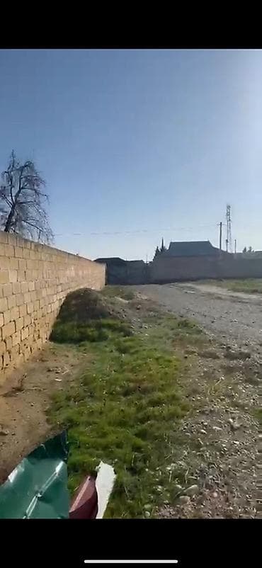 xacmazda bina evleri: 12 sot, Kənd təsərrüfatı, Kupça (Çıxarış) — 2