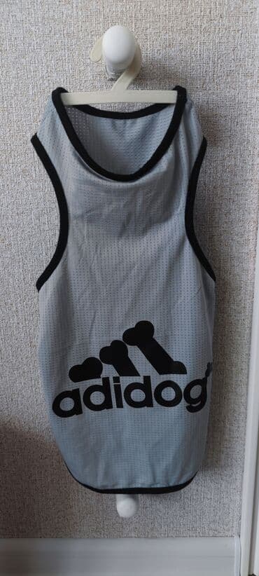 переноска для кошек баку: It geymi.yenidir.25 azne almiwam.eynine olmadi — 1