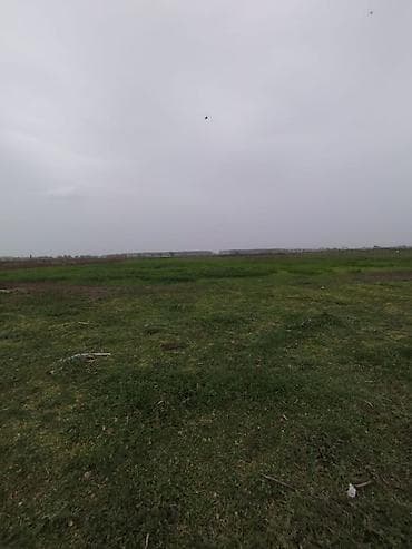 torpaq yeri: 500 sot, Kənd təsərrüfatı, Mülkiyyətçi, Kupça (Çıxarış), Bələdiyyə — 9