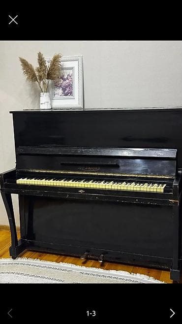 elektron piano: Piano
200azn
Qaracuxur 6161 leli — 1
