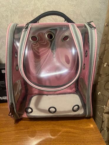 pişik latok: Pişik üçün sumka 60 m alınıb — 1