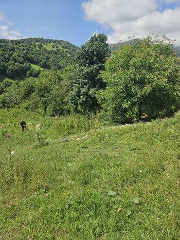 obyek satilir: 25 sot, Tikinti — 10