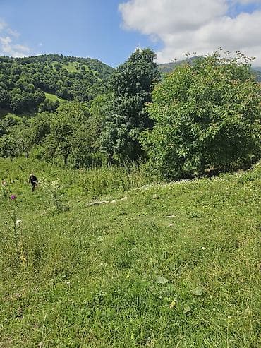 yol qiragi: Tikinti — 5