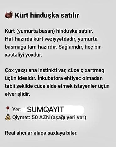 qus sesleri: Dişi, Yumurtalıq — 1